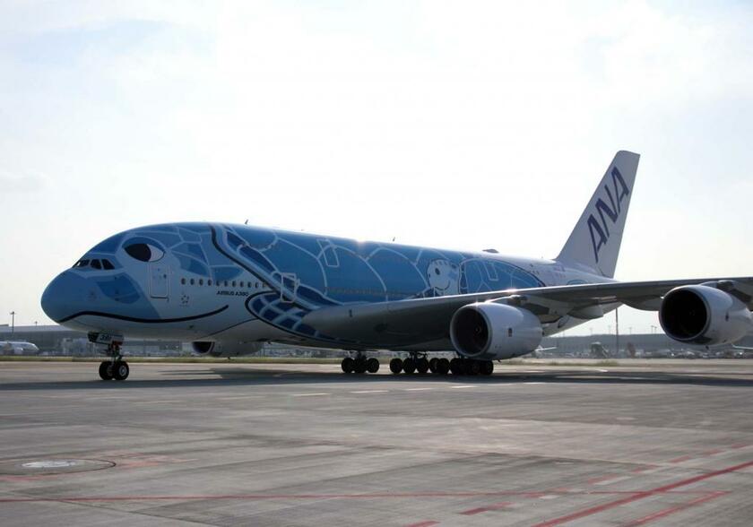 青いウミガメが描かれた全日空機「フライングホヌ」。9月24日、成田空港の滑走路に亀が侵入した影響で離陸が遅れた（全日空提供）