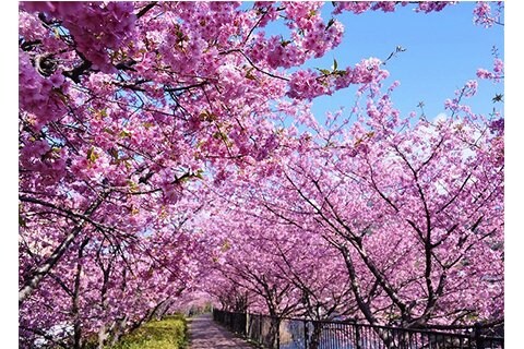 写真・図版（1枚目）| 2015-03-04 17:40