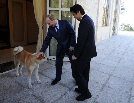 秋田犬ゆめと一緒に安倍首相（当時）を出迎えるプーチン大統領（2014年＝ロシア大統領府提供）