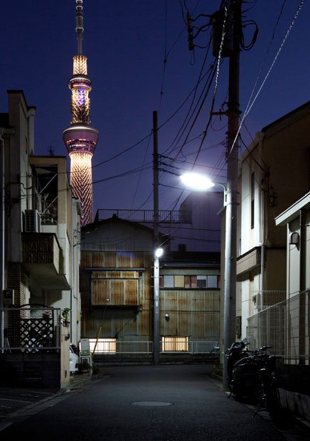 奥に見える古い料亭と東京スカイツリーの未来感が対照的な風景（撮影／写真部・岡田晃奈）