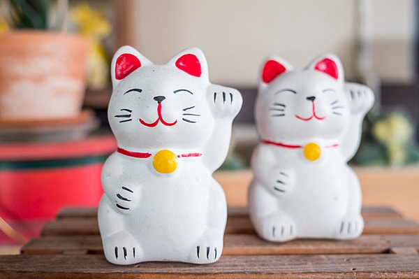 世界じゅうの民話や伝説に登場するネコ。日本では空前の猫ブームに！