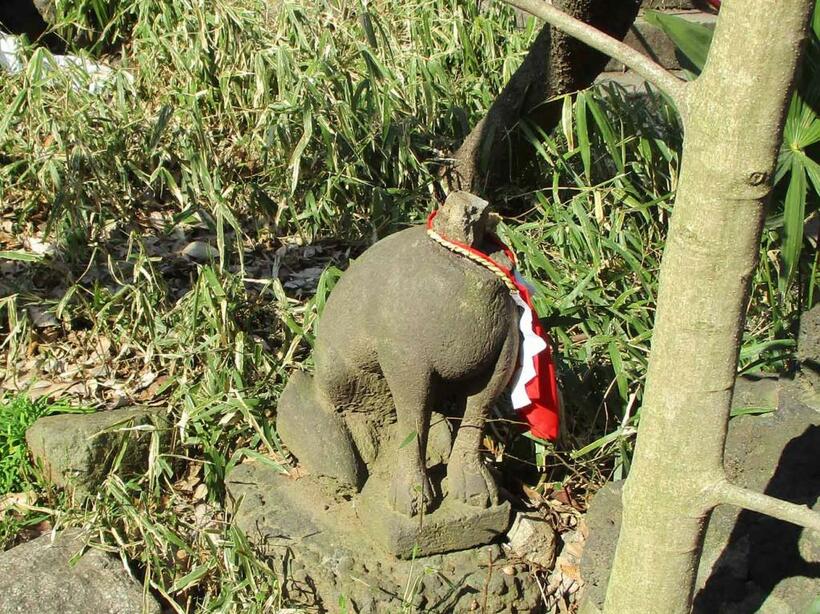 稲荷神社に残る首なしのお狐さま