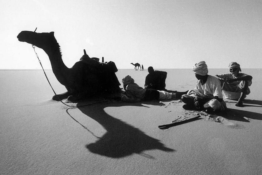 停止したキャラバンのリーダーと遅れた一頭（奥）　フェザン、リビア／1975年（撮影：野町和嘉）
