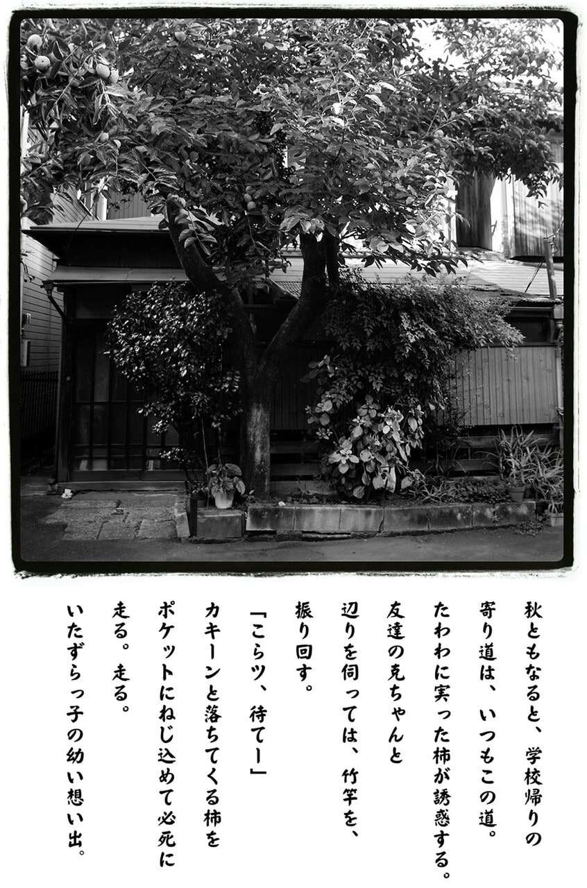 写真と文:熊谷正