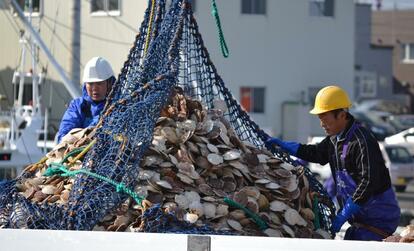 北海道猿払村は国内最大のホタテの産地だ。（ｃ）朝日新聞社