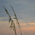 <最初の読者から> 作家・今村翔吾さんが綴る「楠木正成の息子」の物語、『人よ、花よ、(上・下)』 を書評家・細谷正充さんが徹底解剖(書評)