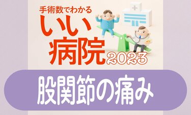 股関節の痛みを治す　手術数が多い病院全国トップ40　1位船橋整形外科病院、2位玉川病院、3位さっぽろ病院