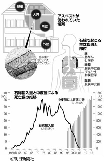 石綿輸入量と中皮腫による死亡数の推移（週刊朝日　２０１７年７月２８日号より）