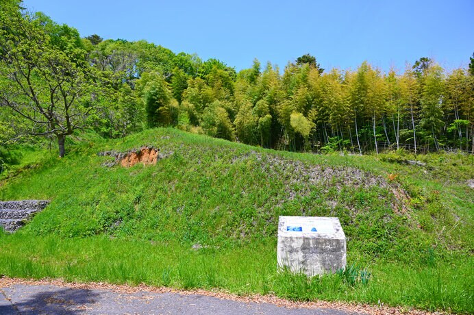 石川県中能登町の「杉谷チャノバタケ遺跡」