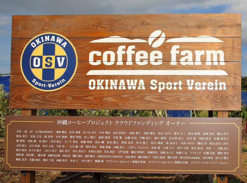 沖縄コーヒープロジェクトは、沖縄ＳＶ、ネスレ日本、沖縄県名護市、琉球大学が協力して進める、沖縄で初の大規模な国産コーヒー農場をつくる取り組み（写真：普久原朝日）