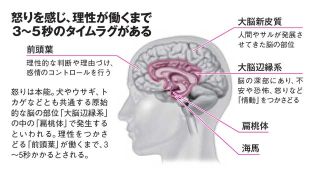 怒りを感じ、理性が働くまで３～５秒のタイムラグがある（ＡＥＲＡ　２０１７年９月１１日号より）