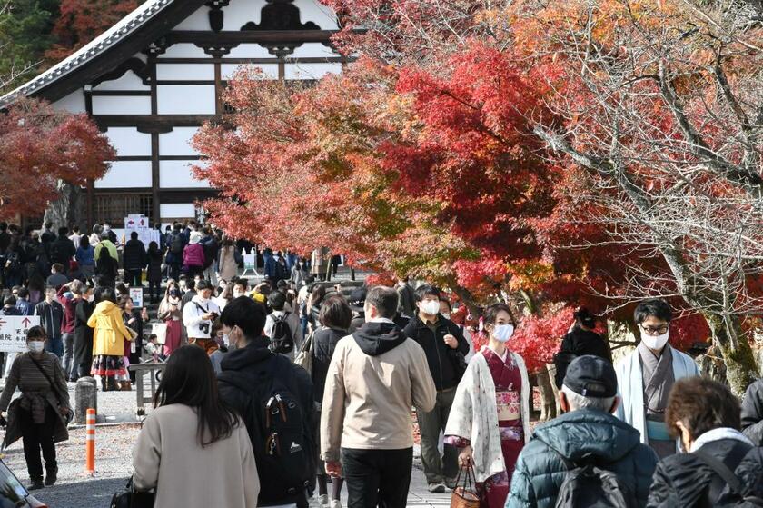 3連休の初日となった11月21日、紅葉が見頃を迎えた京都は観光客でにぎわった　（ｃ）朝日新聞社