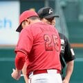 広島・新井監督と阪神・藤川監督の“遺恨”は和解の必要なし? 球界OBは「今は選手も監督も仲が良すぎる」