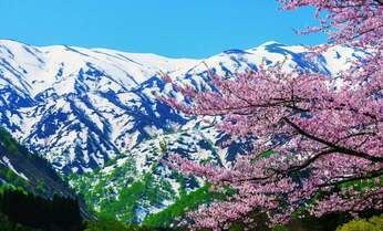 まだ間に合う! GWでも桜が撮影できる5つのスポット