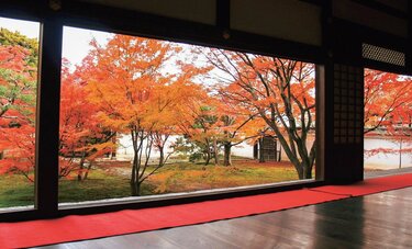 秋の京都で人混みを避けて美しい紅葉を愛でるには？　最強ナビゲーターが教える「穴場」