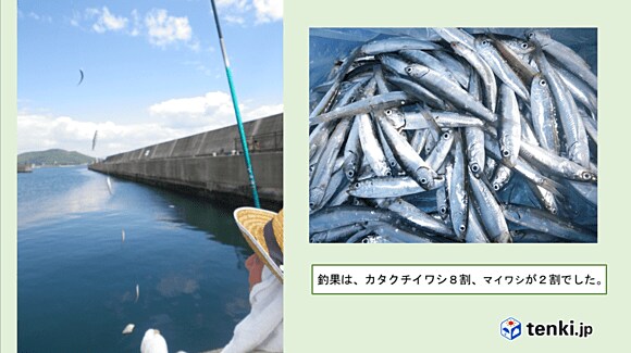 和歌山県北部の港(２０１７年４月２４日)　撮影：日本気象協会関西支社　萬木敏一