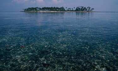 写真家親子2代が捉えた　フィリピン・カオハガン島をめぐる「二つのキセキ」