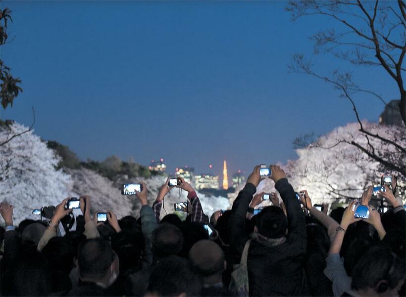 英国公使のアーネスト・サトウが公使館前を染井吉野の並木にしたのは1898年のこと。「三国干渉」をうけて、日英同盟の機運が高まっていたという背景があり、桜並木は東京市に寄贈された。当時は桜の背景に東京湾や富士山が眺望されたという。今も花の時期は絶景地。東京・九段■オリンパスPEN－F・M.ZUIKO DIGITAL 25ミリF1.8