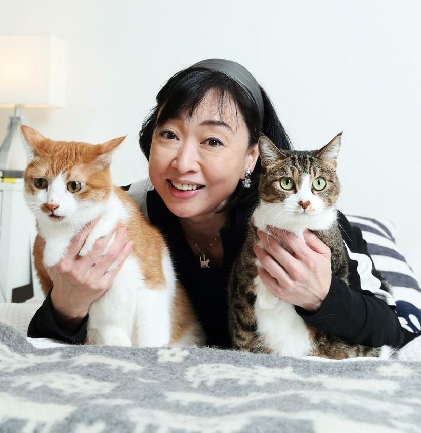 猫と遊ぶ川上麻衣子さん 