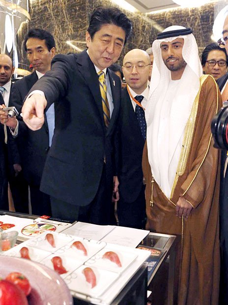 安倍首相も中東のアラブ首長国連邦を訪問　（c）朝日新聞社　＠＠写禁