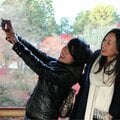 50代、独身、フリーランス。「“普通”から逃げてきて、最後に残ったのが本当にやりたいことだった」人生が吹っ切れた瞬間