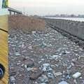 マイクロプラスチック、日本の海は世界平均の27倍…人体に影響ないのか?