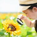 あなたが子どもの頃、夏休みの「自由研究」に選んだテーマは 我が子と一緒にどこまでやる?【AERAアンケート】
