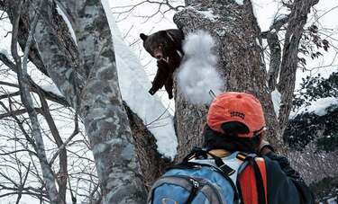 至近距離でツキノワグマを撃ち抜く緊迫の現場　豪雪地帯の「狩猟民」を追った写真家・西野嘉憲