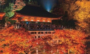 「秋の京都」最強ナビゲーターが教える紅葉名所4大スポットとは