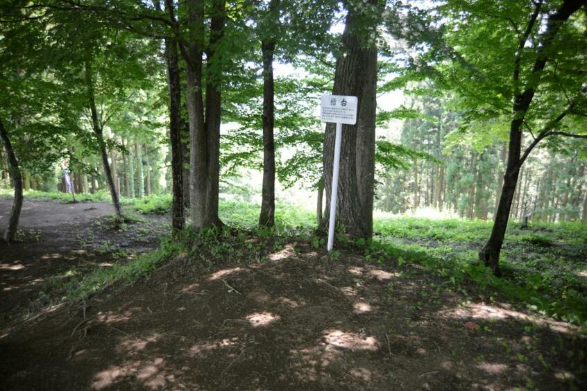 岩櫃城(群馬県)の本丸櫓台。本丸の北東隅に1段高い土壇が残され、櫓台の跡とされる。それが事実であれば、櫓が存在していたことになる。