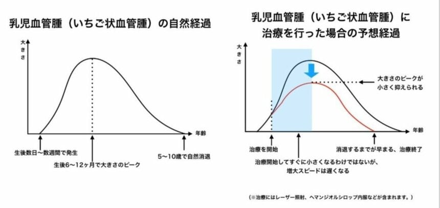 図版／日本医科大学武蔵小杉病院提供