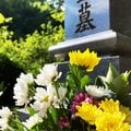 墓を引っ越す「改葬」が15万件超に増加 「子どもに負担をかけたくない」と「墓じまい」も