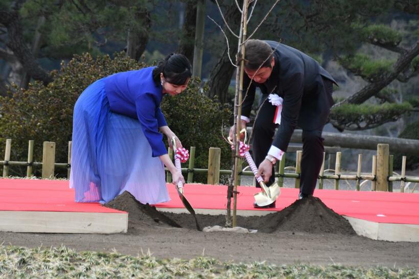 １６日、左近の桜の苗木に土をかける佳子さま（左）と大井川和彦知事。偕楽園にて