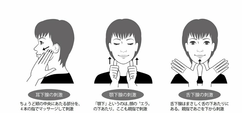 唾液腺マッサージで唾液の分泌を促そう!(イラスト/坂本康子)(週刊朝日 2018年6月29日号より)
