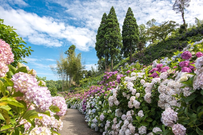 ※写真はイメージです