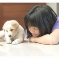 ペットが子どもの成長や発達に“効果”があるって本当? 小児科医が研究データをもとに解説