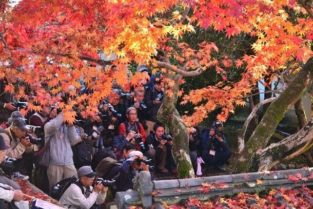 写真・図版(2枚目)| 「脱・カメラ女子」時代へ