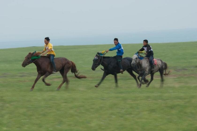 ゴールを目指す馬たち。最近、競馬馬に乗れる子どもはますます少なくなっている。内モンゴル自治区シリンゴル盟アバガ・ホショーで（2012年7月、撮影：アラタンホヤガ）