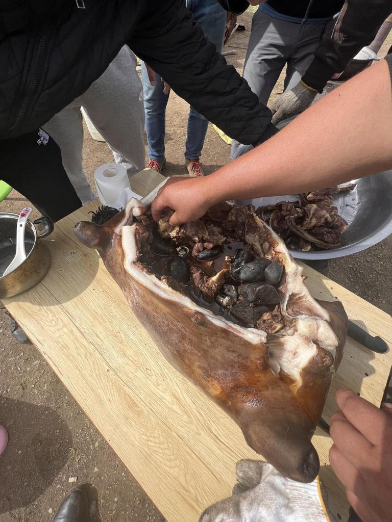 焼き石を首から詰めて山羊一頭を丸焼き。鍋いらず、体全体が調理器具［写真：本人提供］