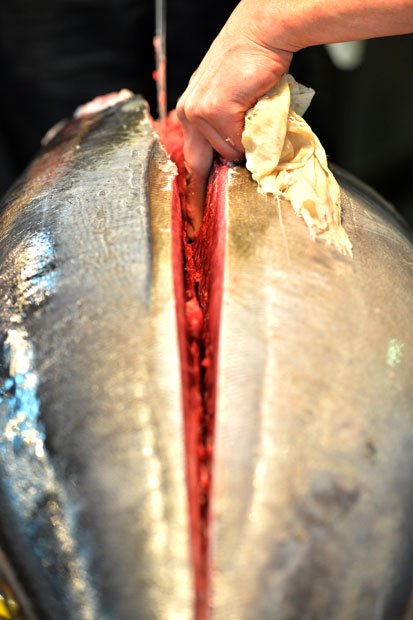 生マグロを断ち包丁で解体する。「生マグロは、包丁を入れた瞬間にいい香りがするんです」（仲卸「西誠」小川文博さん）　（撮影／写真部・東川哲也）