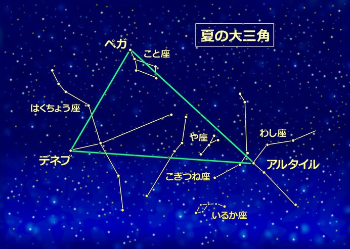 夏の大三角形を確認しながら見つけてみよう！