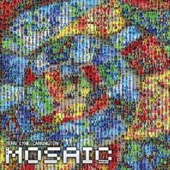 モザイク・プロジェクト／テリ・リン・キャリントン