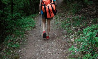 【生死を分ける】山で迷子になったとき、絶対やってはいけないこと