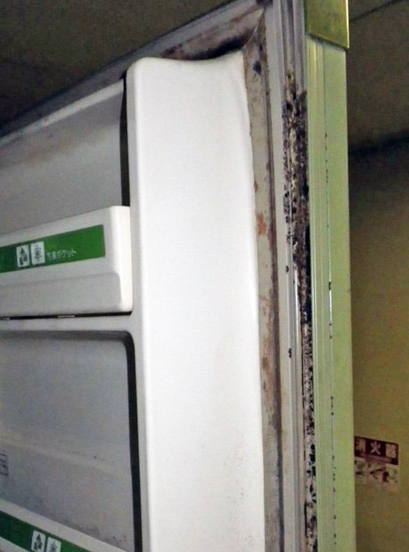 カビがびっしり生えた冷蔵庫のドアパッキン（大阪市立自然史博物館・浜田信夫さん提供）
