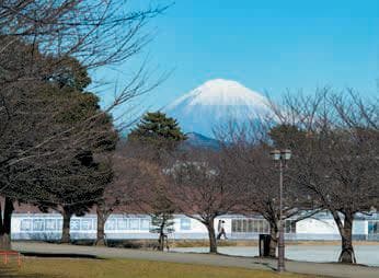 本丸から見える富士山。駿府城跡には、かつて駿河守護今川家の今川館もあったとされる。いずれも富士山を望む絶好のロケーションが立地選定のポイントになったと思われる。