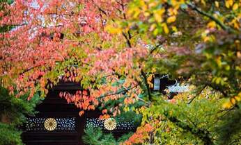 皇室ゆかりの寺で令和初の紅葉狩り 秋色の京小物とお菓子をお供に