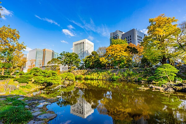 日比谷公園の観光菊花大会の会期は、11月1日（水）～23日（木・祝）