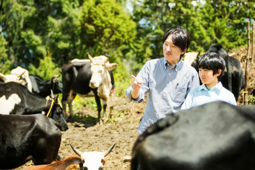 初めての海外となったブータンで、秋篠宮さまの説明を受けながら牛を見る悠仁さま　（宮内庁提供）