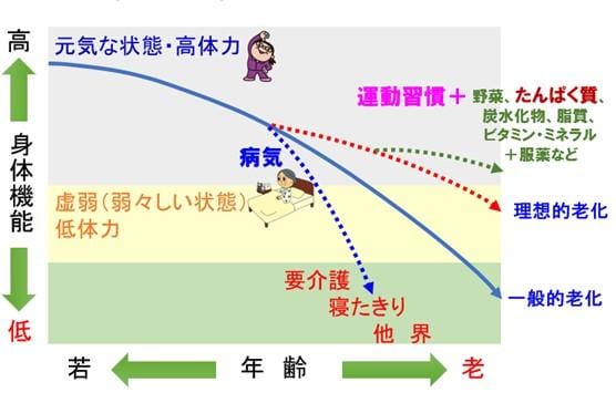 提供：筑波大学名誉教授　田中喜代次先生