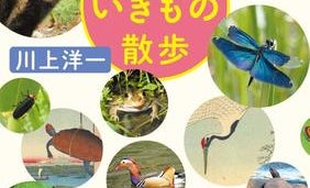 都会で自然といきもの探し この夏は「江戸」と「東京」を繋ぐちょっと変わった街歩き